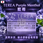 日本TEREA Purple Menthol藍莓