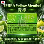 日本TEREA Yellow Menthol青檸